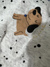 另約韓版ins風(fēng)純棉睡衣女夏季新款短袖短褲斑點(diǎn)狗狗可外穿家居服套裝 E118 波點(diǎn)小狗 M 曬單實(shí)拍圖