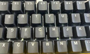 羅技（Logitech）K845機(jī)械鍵盤 有線鍵盤 辦公電腦打字鍵盤 電競游戲發(fā)光全尺寸個(gè)性化定制鍵帽卡皮巴拉 生日禮物 【K845+線條小狗】紅軸 曬單實(shí)拍圖
