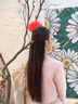 紀思梵小雛菊高端彈簧夾發(fā)夾飾女2025款高級感發(fā)夾后腦勺半夾頂夾一字夾 小雛菊高檔彈簧夾（禮盒裝） 曬單實拍圖