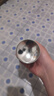 維特絲清香型定型噴霧發(fā)膠 男士頭發(fā)造型蓬松啞光定型自然持久干膠420ml 曬單實(shí)拍圖