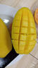 閩域?qū)r金煌芒新鮮現(xiàn)摘現(xiàn)發(fā)應(yīng)季時(shí)令熱帶孕婦新鮮采摘皮薄海南金煌芒 凈重4.5斤 活動(dòng)特惠裝【單果200g+】 【手工精選】 曬單實(shí)拍圖
