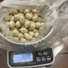 七果優(yōu)品印尼紅紅肉菠蘿蜜新鮮新鮮進(jìn)口熱帶水果香脆甜紅心小木波羅一整個 紅色 8-10印尼紅【精選紅肉】 曬單實拍圖