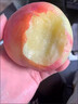 玫梔山東肥城水蜜桃肥桃脆甜超大桃子祝壽桃佛桃孕婦高端送禮水果順豐 12個(gè)裝(單果4兩）家庭裝 肥城水蜜桃順豐 曬單實(shí)拍圖