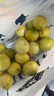 百味心誠廣西欽蜜9號(hào)黃金百香果九號(hào)新鮮生鮮白香果水果 A+精選2斤【單果45-60g】 曬單實(shí)拍圖