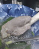 額爾敦內(nèi)蒙草飼有機羔羊小腿2斤/袋 肉生鮮羊肉 原切冷凍 燒烤火鍋食材 曬單實拍圖