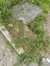 德馬哈電動(dòng)割草機家用小型除草機充電式草坪鋰電池打草機神器工具 一體無(wú)刷電機【7.5AH】二電一充 曬單實(shí)拍圖