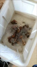 貝初眾增氧泵魚缸氧氣泵家用養(yǎng)魚賣魚專用增氧機充電式交直流兩用增氧機 【適養(yǎng)40斤內】30W4孔指示燈氧氣泵 【一機多孔長久續(xù)航】 【鋰電池使用壽命更長】 曬單實拍圖
