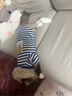 搭啵兔貓咪衣服春秋款防掉毛薄款彈力布偶貓藍貓背心貓貓小貓學(xué)生裝夏季 藍色條紋 XL-【建議體重8.5-12斤】 曬單實(shí)拍圖