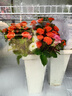 卡帝仕 花店商用鮮花保鮮柜大容量風(fēng)冷鮮花保鮮冰箱鮮花冰柜鮮花冷藏保鮮柜鮮花冷柜展示柜鮮花柜保鮮柜 升級款黑色三門（無需排水） 曬單實拍圖