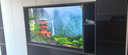 海信電視E5Q 65英寸 超畫(huà)質(zhì)U+Mini LED 墨晶屏 300Hz高刷 U+超畫(huà)質(zhì)引擎Pro AI智能 國家補貼 65E5Q 曬單實(shí)拍圖
