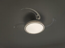 領(lǐng)王隱形臥室風(fēng)扇燈客廳家用一體電扇燈餐廳現(xiàn)代簡約新款吸頂中山燈具 全光譜-42寸-變頻6檔-調(diào)光-聲控 曬單實(shí)拍圖