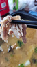 羋羊羊 內(nèi)蒙古原切羔羊肉卷凈重2斤 羊肉片 羊肉生鮮 燒烤火鍋食材 清真 曬單實拍圖