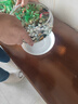 茨格曼玻璃魚缸圓形辦公桌魚缸一體缸迷你小魚缸烏龜玻璃鋼小型金魚缸* 中號(hào)玻璃缸【肚徑20*高10*口徑16cm】 曬單實(shí)拍圖
