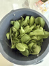 BEECO廚房廚余食物垃圾粉碎處理器小型家用生物分解靜音餐廚廚余機2.6L 粉碎廚余機2.6L（220V/國標版） 曬單實(shí)拍圖