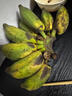 三萌果蔬廣西小米蕉【青蕉發(fā)貨收到需催熟】芭蕉新鮮水果香甜粉糯現(xiàn)摘現(xiàn)發(fā) 5斤優(yōu)選果【軟糯香甜】凈4.5斤 曬單實拍圖