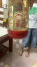 貝親親奶瓶寶寶護(hù)齒學(xué)飲杯6個(gè)月以上帶管球1.2.3歲納米銀pp嬰兒寬口徑奶 240-紅色吸管杯 0 ml 曬單實(shí)拍圖