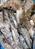 美加佳大號黑虎蝦 去冰凈重2斤 20-30只 燒烤大蝦 生鮮蝦類 曬單實拍圖