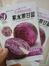 紫甘藍種籽早熟抗病耐寒耐裂可密植菜種春季夏季秋冬蔬菜孑新疆 紫甘藍種子 2包約200粒 曬單實(shí)拍圖