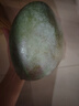 集南鮮 凱特芒果 四川攀枝花芒果當(dāng)季大青皮黃皮大芒果新鮮水果整箱 含箱5斤  單果400g起  凈重4.5斤 曬單實(shí)拍圖
