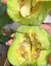 食句良鋪萍鄉(xiāng)本地甜瓜江西頭茬小蜜蜂甜瓜脆甜爽口當(dāng)季新鮮水果甜寶順豐 [10斤]應(yīng)季本地瓜【8-10個(gè)】順豐 曬單實(shí)拍圖