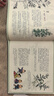少年讀典籍 呀！本草綱目 被達爾文譽為中國百科全書 中小學課外科普中醫(yī)醫(yī)學類是李時珍留給世人的禮物 精裝版 曬單實拍圖