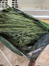 怪獸盒子25年提摩西草烘干草段兔子干草多葉飼料龍貓幼兔荷蘭豬糧食用干草 烘干切段提摩西草500g 曬單實拍圖