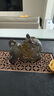八千行茶寵創(chuàng)意擺件變色貔貅可養(yǎng)吸財招財功夫茶具配件茶桌茶臺茶盤 曬單實拍圖