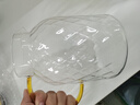 憶壺茶冷水壺玻璃涼水壺家用茶壺耐高溫大容量涼水杯夏季客廳果汁桶 【冷熱不懼】夏棠壺1800ml 曬單實拍圖