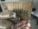 正宗洪湖蓮藕九孔水果脆藕現挖現發(fā)火鍋食材輕食沙拉蔬菜京東快遞 新鮮水果脆蓮藕3斤 保鮮發(fā)貨 曬單實(shí)拍圖
