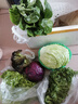 綠食者 新鮮蔬菜沙拉組合4斤 西餐色拉沙拉生菜輕食健身食材配菜 4斤【有沙拉醬】 曬單實拍圖