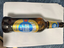 青島啤酒【青島發(fā)貨】青島啤酒五廠嶗山啤酒500ml*12瓶沙子口五廠產(chǎn) 沙子口五廠嶗山啤酒 曬單實拍圖