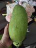 顧果鮮芒果新鮮廣西大青芒當(dāng)季熱帶時令孕婦水果青皮甜心青芒果 9斤 精選特大果【單果400g+】 曬單實拍圖