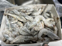 萬景 北海鮮凍白蝦 國產(chǎn)白蝦 單凍無冰凈重4斤 100-120只 燒烤聚餐  曬單實拍圖