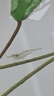 得力（deli）珊瑚海A4打印紙 70g500張*5包一箱 雙面打印復(fù)印紙 整箱2500張7361【紙類金榜榜首】 曬單實(shí)拍圖