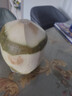海南椰青新鮮椰子當(dāng)季去皮椰青酸甜解渴水果椰汁（冷藏風(fēng)味更佳） 【送開椰器】9個(gè)裝 曬單實(shí)拍圖