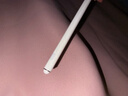 綠聯(lián)電容筆iPad觸控筆【2025升級(jí)】適用iPad 11/Air/Pro/mini平板觸屏手寫筆繪畫Apple Pencil防誤觸 曬單實(shí)拍圖