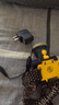 強(qiáng)光創(chuàng)亮者頭燈充電器雙孔兩孔通用型智能快充C4688 C8782 C8682 10mm雙孔充電器 智能款 曬單實(shí)拍圖