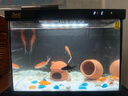 森森金麟超白玻璃魚缸一體缸自循環(huán)客廳小型LE-380B 曬單實拍圖