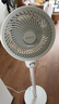 艾美特（AIRMATE）【小暴風(fēng)】空氣循環(huán)扇大風(fēng)量搖頭電風(fēng)扇家用臺式落地扇升級加高換氣輕音柔風(fēng)小風(fēng)扇 FA18-X115 曬單實(shí)拍圖