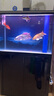 森森（SUNSUN） 魚缸水族箱金魚缸玻璃魚缸大型生態(tài)魚缸客廳熱彎 HRG-800D底濾黑色(0.8米長(zhǎng)30寬) 曬單實(shí)拍圖