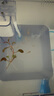 豐年蝦幼蟲(chóng)孵化鹵幼冷凍冰凍豐年蝦卵幼魚(yú)開(kāi)口孔雀七彩小型魚(yú)活食 超濃0.5ML*【50只】 (滴管喂食器 曬單實(shí)拍圖