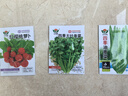 田間小徑新款陽臺種菜盆自吸水菜盆加厚加深長條盆家庭蔬菜種植箱塑料花盆 【3個裝-大號-加深款】白色菜盆 曬單實拍圖