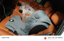 maxicosi3-12歲兒童安全座椅汽車用RodifixPlus+ 車載座椅iSize石墨灰 曬單實(shí)拍圖
