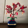 2025年新春花卉積木柿柿如意桃花蝴蝶蘭花束盆栽國潮新年擺件年貨 冬青 曬單實(shí)拍圖