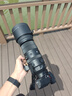 適馬（SIGMA）150-600mm F5-6.3 DG DN OS ｜Sports 全畫(huà)幅無(wú)反 超遠(yuǎn)攝變焦鏡頭  打鳥(niǎo)拍荷花（L卡口） 曬單實(shí)拍圖