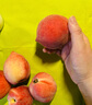 沐小七果蔬 春雪水蜜桃【順豐-多地次日達】新鮮軟桃子當季水果老樹(shù)甜毛桃 精品果【單果125-150g】 3斤裝【超值推薦-80%選擇】超劃算 曬單實(shí)拍圖