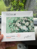 李醫(yī)生吸去黑頭面膜黑頭導(dǎo)出液鼻貼清理神器清潔毛孔粉刺撕拉式套裝男女 【95%優(yōu)選】去黑頭護理套裝 曬單實拍圖