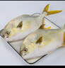 三都港 冷凍三去大黃魚(yú)凈重2斤/2條裝 寧德黃花魚(yú) 生鮮魚(yú)類(lèi) 燒烤 曬單實(shí)拍圖