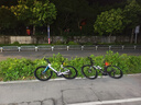 PARDUS瑞豹SPARK SPORT碳纖維氣動破風公路車油碟105HDB彎把變速 月白深青-贈邁金旗艦碼表C706 S (適合身高168-175cm) 鋁輪版-禧瑪諾R7120 曬單實拍圖