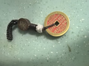 風(fēng)水閣山鬼花錢鑰匙扣朱砂八卦銅錢本命年男女護(hù)符掛件 曬單實拍圖